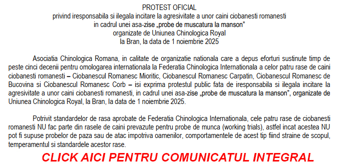 comunicat21.11
